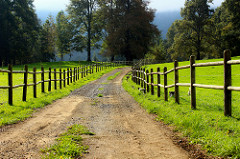 13956851521_b7ffff5a2d_m